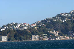 Wellington overview
